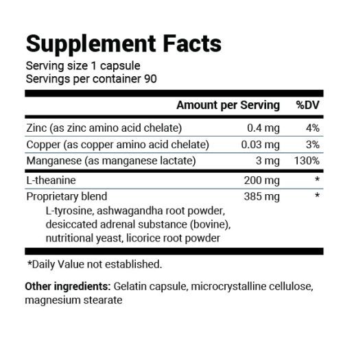 L Theanine Adrenal Support Supplement Panel V0 02.10.24 01