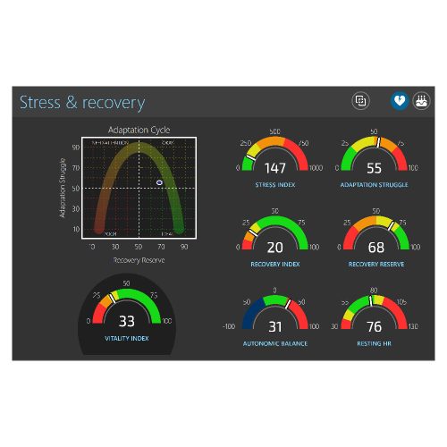 dashboard 3